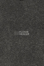 Ковролин AW Vivendi Punch 95 фото 1 | FLOORDEALER